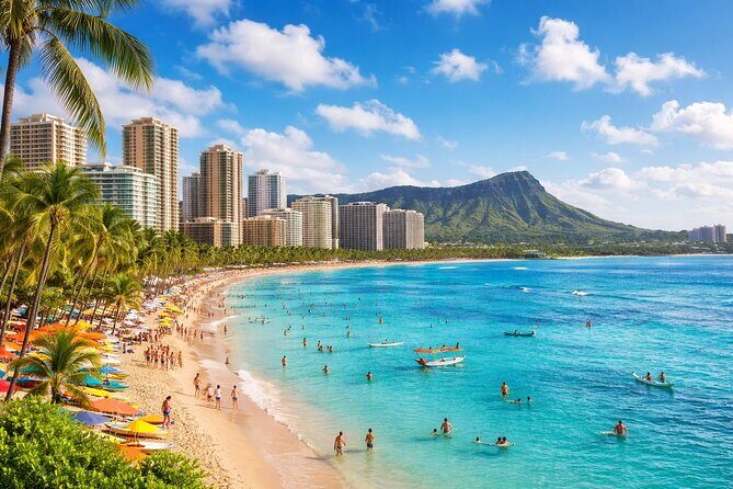 Private Waikiki Hotel Transfer Service to Airport - Key Points