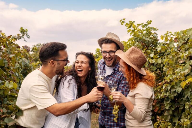 Private Walking Tour in Baden Neuweirs Vineyard - Frequently Asked Questions