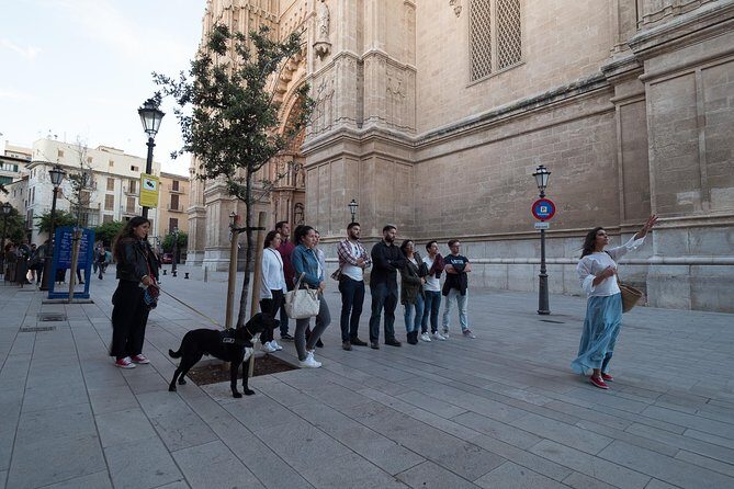 Private walking tour in Palma de Mallorca with local guides. - Considerations and Practicalities