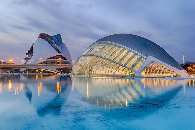 Private Walking Tour in Valencia with Guide - Archaeological & Artistic Highlights