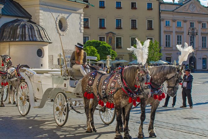Private Walking Tour of Krakow Old Town With Local Historian Phd - Guest Reviews and Testimonials
