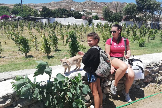 Private Walking Tour of Mykonos Windmills and Whitewashed Wonder - Key Points