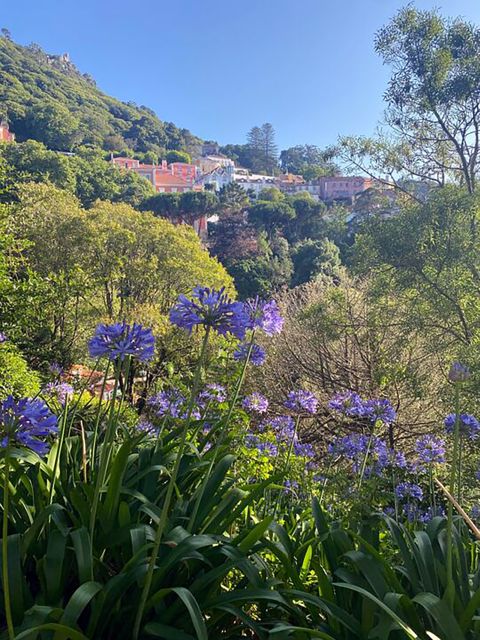 Private Walking Tour of Sintra Village + Quinta Da Regaleira - How to Book