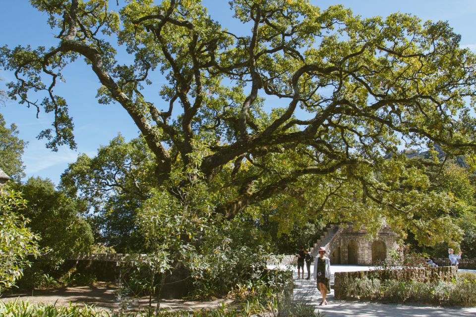 Private Walking Tour of Sintra Village + Quinta Da Regaleira - Frequently Asked Questions