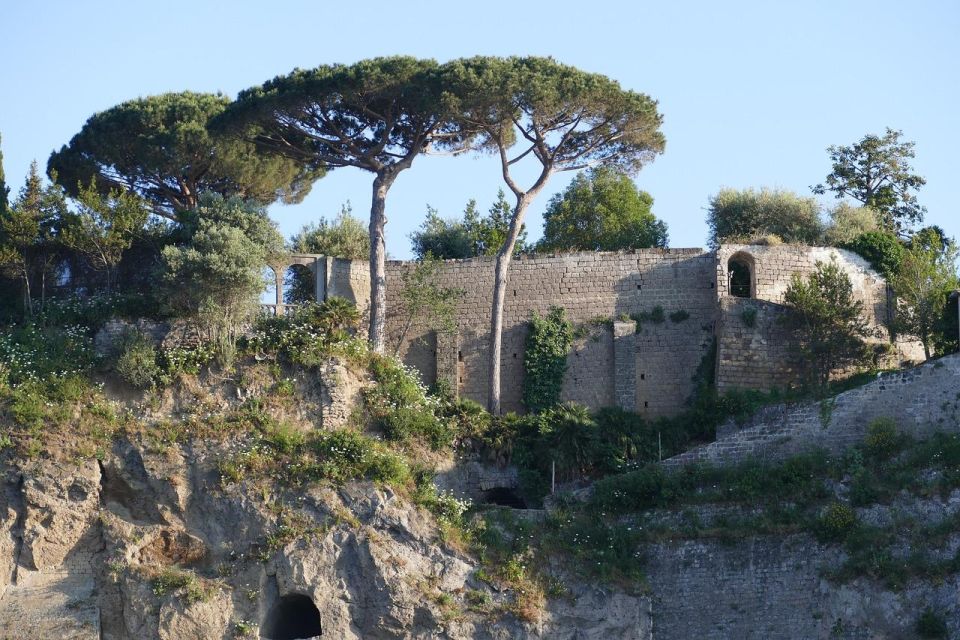 Private Walking Tour of Sorrento - Exploring Sorrentos History