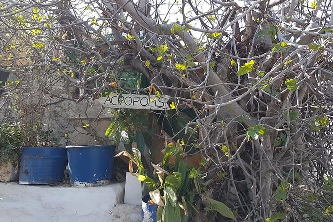 Private Walking Tour: Sunset Tour in Plaka Review - Personal Insights and Recommendations