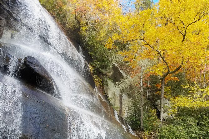 Private Waterfall and Blue Ridge Parkway Tour With a Naturalist - Traveler Reviews and Experiences