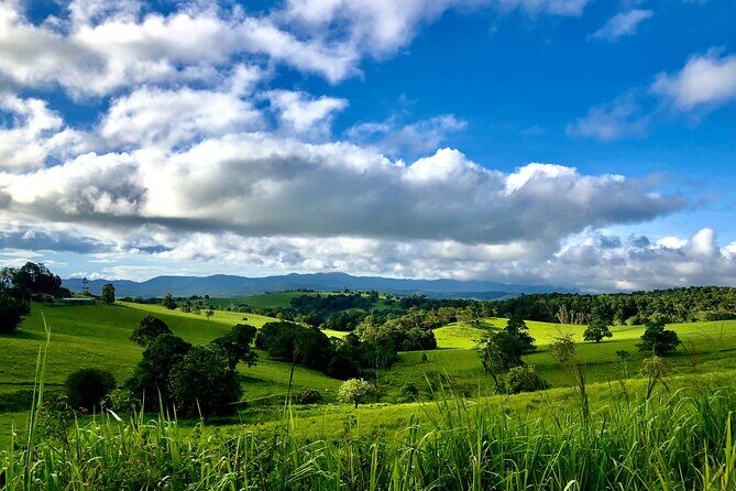 Private Waterfall and Rainforest Day Tour - The Cost: Value or Overpriced?