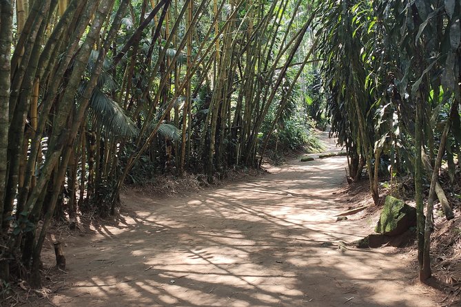 Private Waterfalls and Still Jeep 4x4 6hrs by Jango Paraty - Inclusions and Amenities