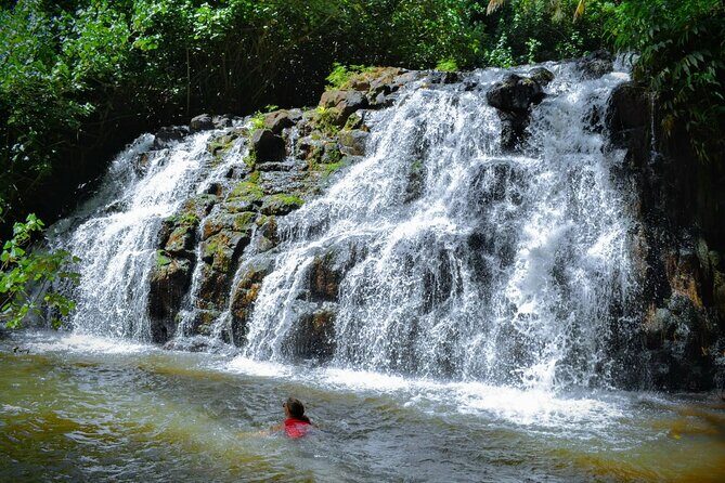 Private Waterfalls Hike and Swim in Lihue - Introduction: An Authentic Waterfall Adventure on Kauai