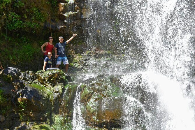 Private Waterfalls Hike and Swim in Lihue - Detailed Breakdown of the Itinerary