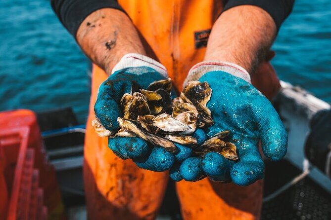 Private West Passage Oyster Tasting Aquaculture Tour - Key Points