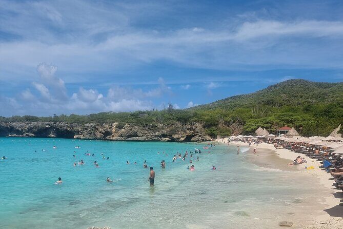 Private Westcoast Beachhop Tour. Turtle beach, grote knip & More - The Itinerary in Detail