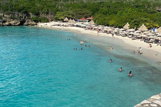 Private Westcoast Beachhop Tour. Turtle beach, grote knip & More - What Travelers Are Saying