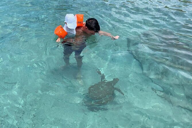 Private Westcoast Beachhop Tour. Turtle beach, grote knip & More - Who Should Book This Tour?