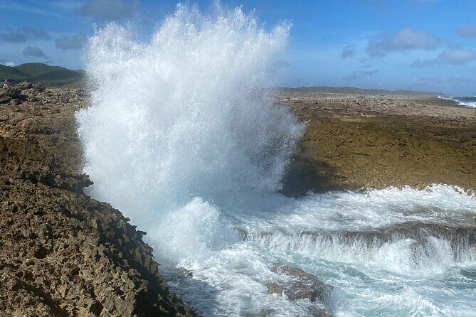 Private Westcoast Beachhop Tour. Turtle beach, grote knip & More - The Sum Up