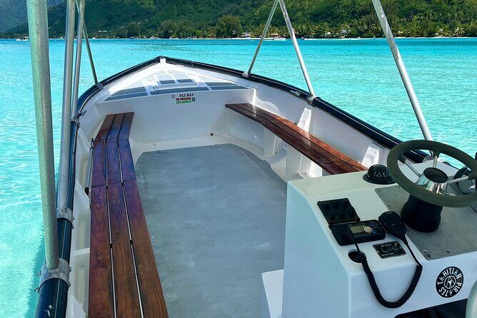 Private Whale Watching Adventure in Mo'orea - Final Thoughts: Is This Tour for You?