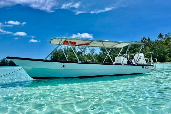 Private Whale Watching Adventure in Mo'orea - FAQ