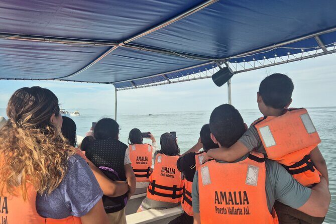 private whale watching at sunset - FAQ