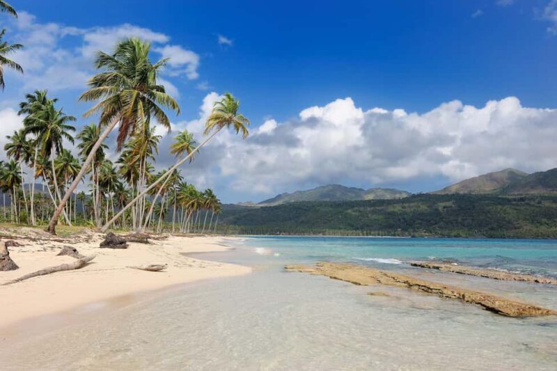 Private: Whale-Watching & Beach Escape from Punta Cana - Who Will Love This Tour?