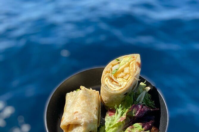 Private Whale Watching in San Jose Del Cabo snack,drinks,Warranty - An In-Depth Look at the Whale-Watching Experience