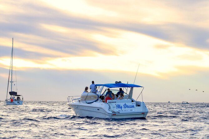 Private Whale Watching on Luxury Yacht in Cabo San Lucas - Practical Details & Tips