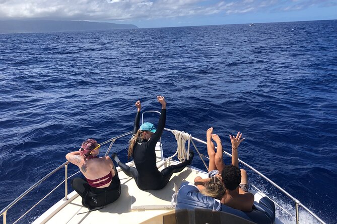 Private Whale Watching Safari From North Shore Oahu - Inclusions for a Comfortable Journey