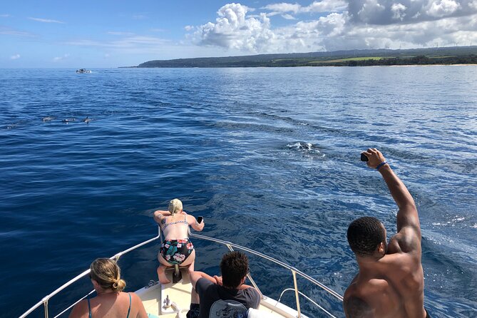 Private Whale Watching Safari From North Shore Oahu - Customer Reviews and Ratings
