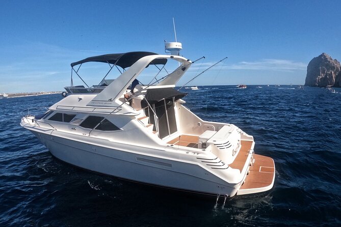 PRIVATE Whale Watching Tour and Snorkeling Tour Cabo San Lucas - Inclusions
