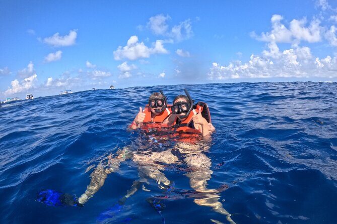 Private Whale Watching Tours in Isla Mujeres - Introduction: Why This Tour Stands Out