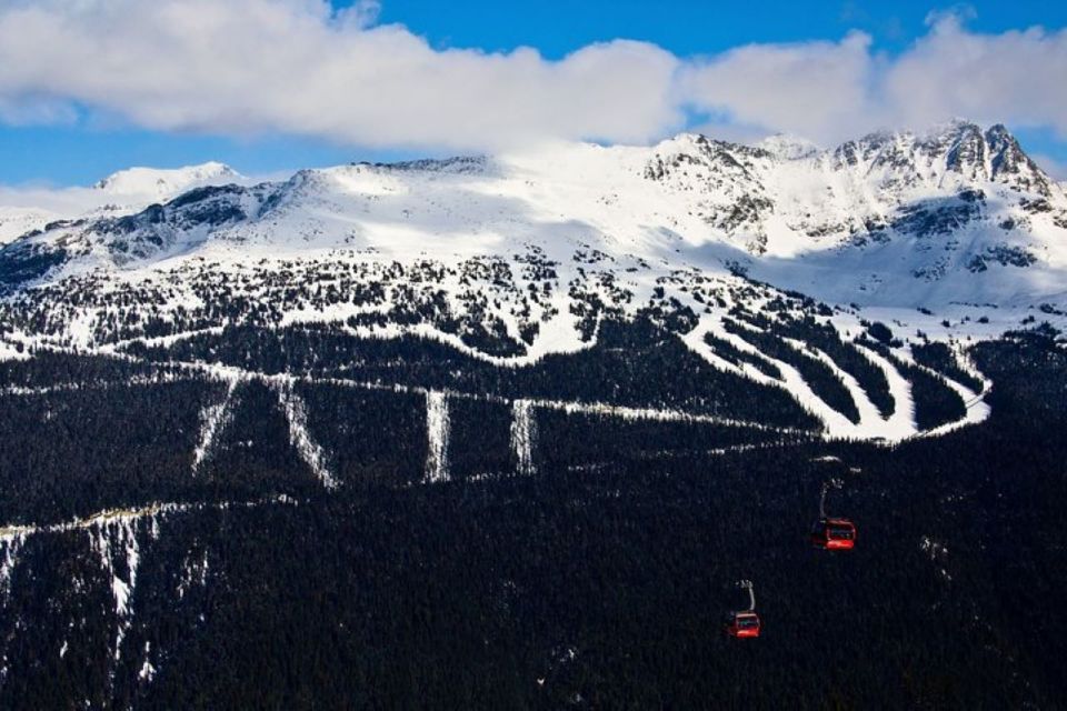 Private Whistler Full Day Tour From Vancouver - Scenic Drive to Whistler