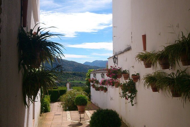 Private White Villages & Ronda Day Tour from Seville - Authentic Insights from Travelers
