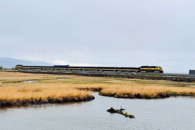 Private Whittier Cruise Transfer & Scenic Tour for Large Groups - Why Choose This Tour? A Balanced Look at the Experience