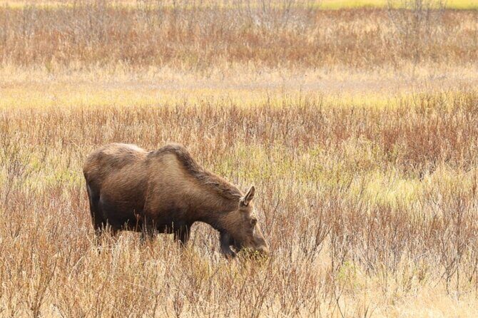Private Whittier Cruise Transit Tour With AWCC - Scenic Overlooks and Natural Landmarks