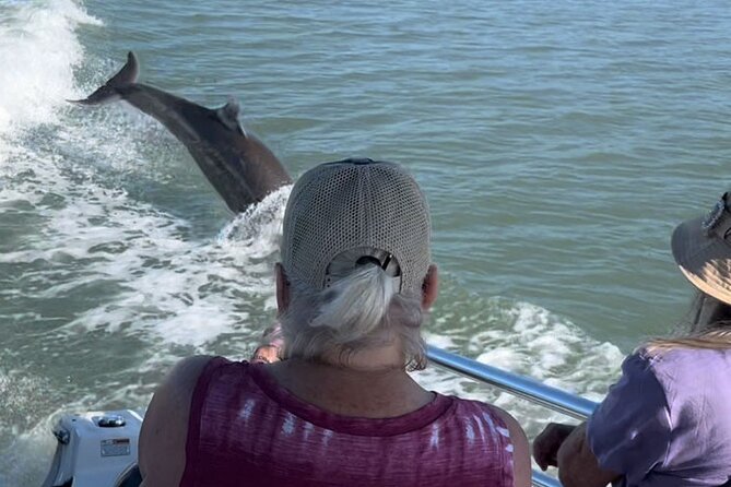 Private Wild Dolphin Boat Tour - End Point