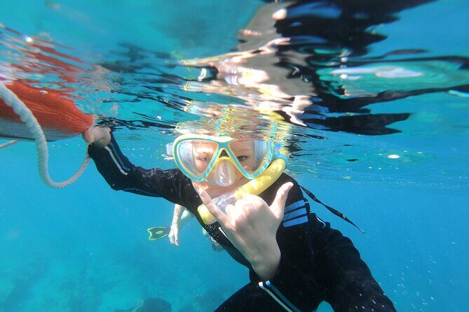 Private Wild Dolphin Encounter Day Trip - Wildlife and Experience: What Travelers Say