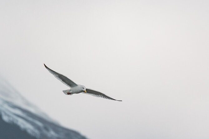 Private Wildlife, Glacier & Gold Panning (Panoramic Van Max 9) - Indian Valley Mine: Gold Panning Adventure