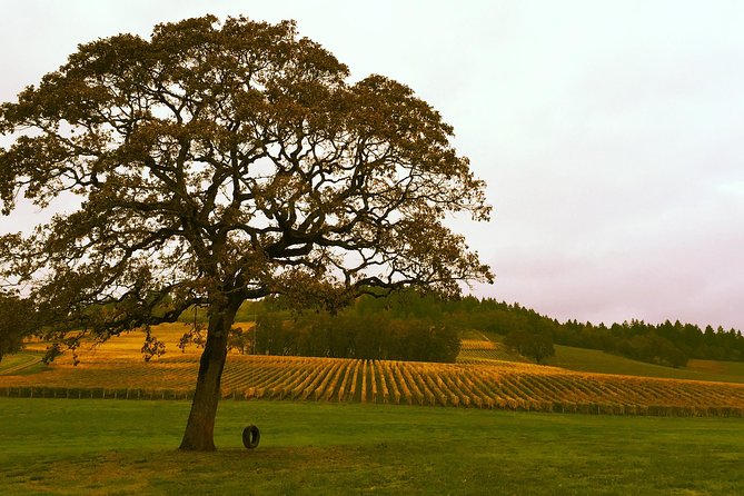 Private - Willamette Valley Wine Tour From Portland (Tasting Fees Included) - Accessibility and Participation