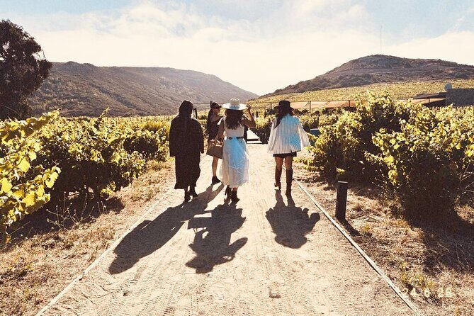 Private Wine and Gastronomic Tour in Valle de Guadalupe - What Travelers Say: Authenticity and Safety