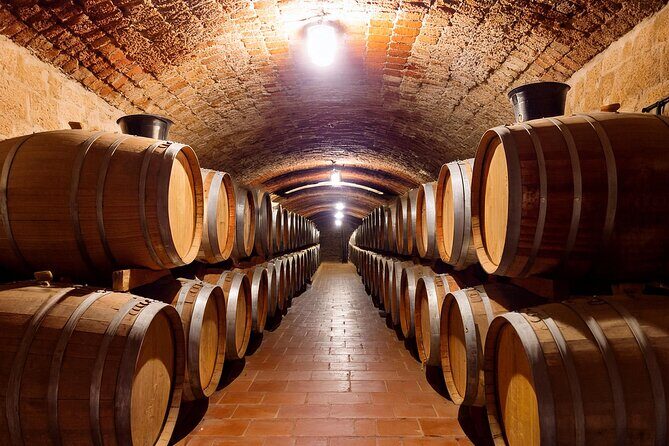 Private Wine and Local Flavors Tour from Palma de Mallorca - Key Points