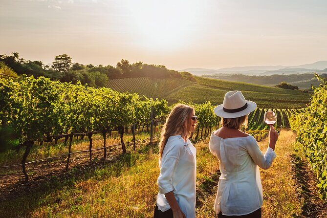 Private Wine and Local Flavors Tour from Palma de Mallorca - An In-Depth Look at the Tour Experience