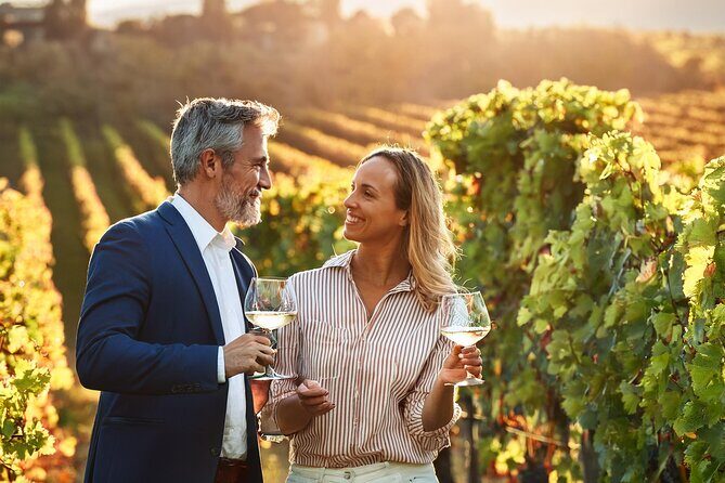 Private Wine and Local Flavors Tour from Palma de Mallorca - What Past Travelers Say