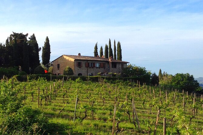 Private Wine & EVO Oil Tasting With Tuscan Meal - Accessibility Features