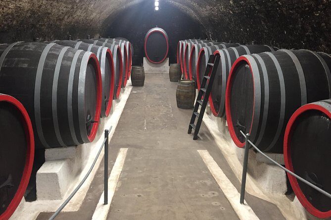 Private wine, food & heritage tour from Prague to Bohemia - Frequently Asked Questions