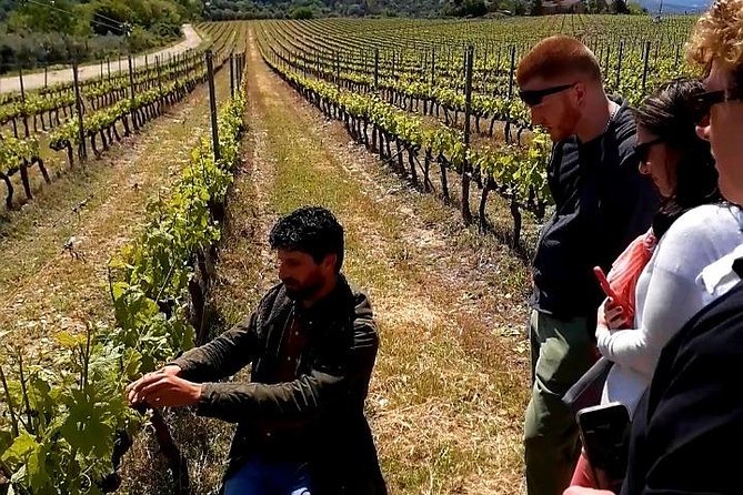 Private Wine Safari! Off-Road Wine Tasting in Winery in Tuscany! - Health and Accessibility