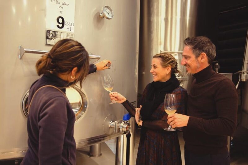 Private Wine, Tapas & Cava Experience From Barcelona - Itinerary and Experience