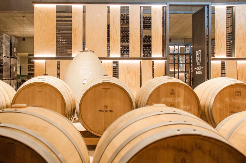 Private Wine, Tapas & Cava Experience From Barcelona - Inclusions and Accessibility