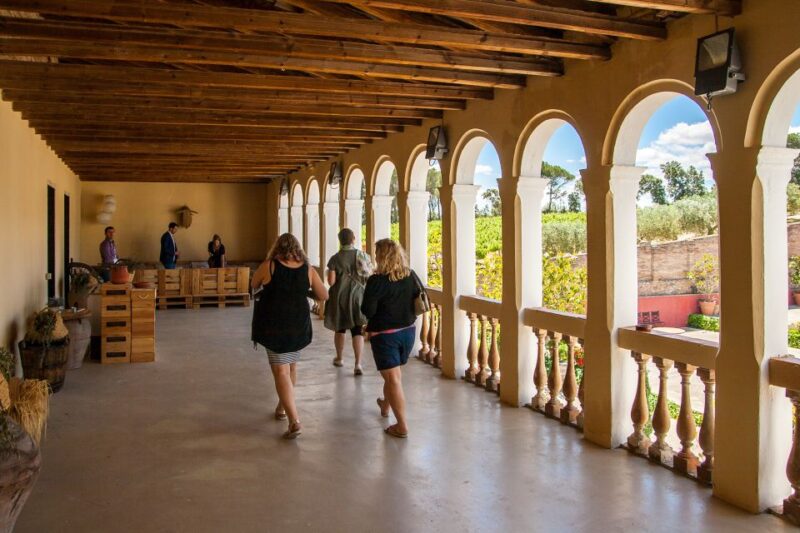 Private Wine, Tapas & Cava Experience From Barcelona - Customer Reviews and Ratings