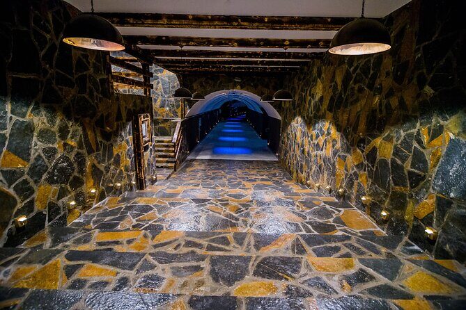 Private Wine Tasting Activity at Lipovac Winery - Key Points