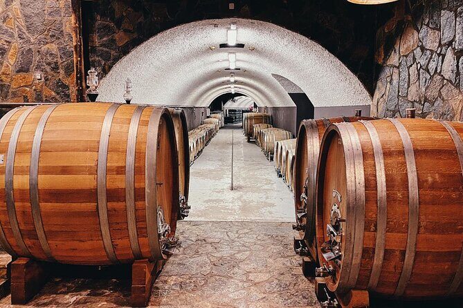 Private Wine Tasting Activity at Lipovac Winery - The Scenery and Atmosphere